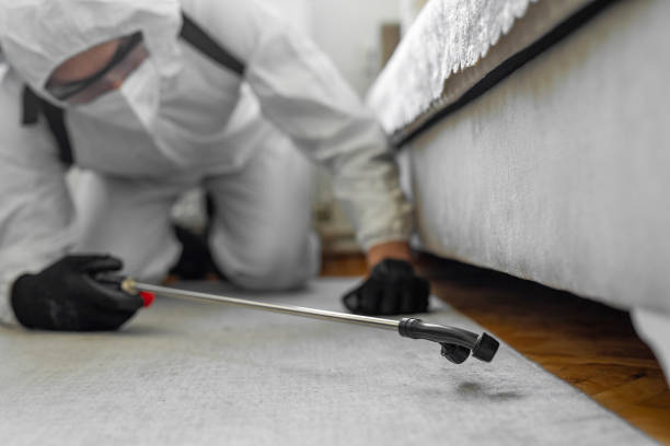 Professional Bed Bug Control technician working in Utica, OH