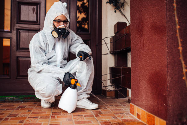 Reliable Bed Bug Control contractor in Utica, OH by Nex Pest Control